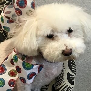 Meet your Posher, Tracy